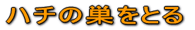 n`̑Ƃ